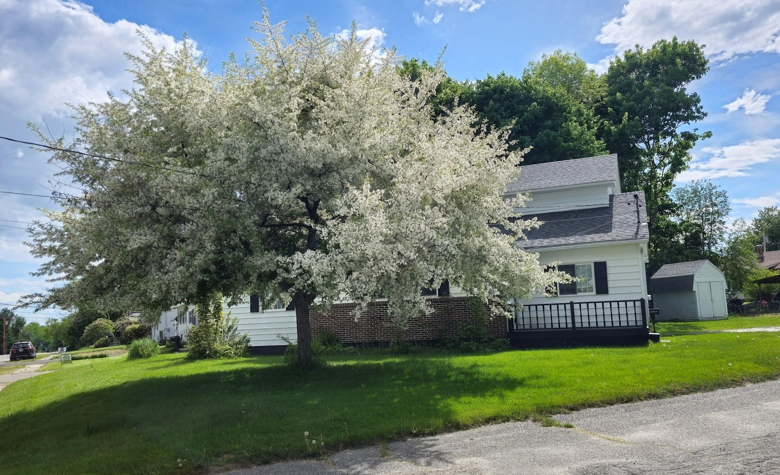 50 Beech Street — photo