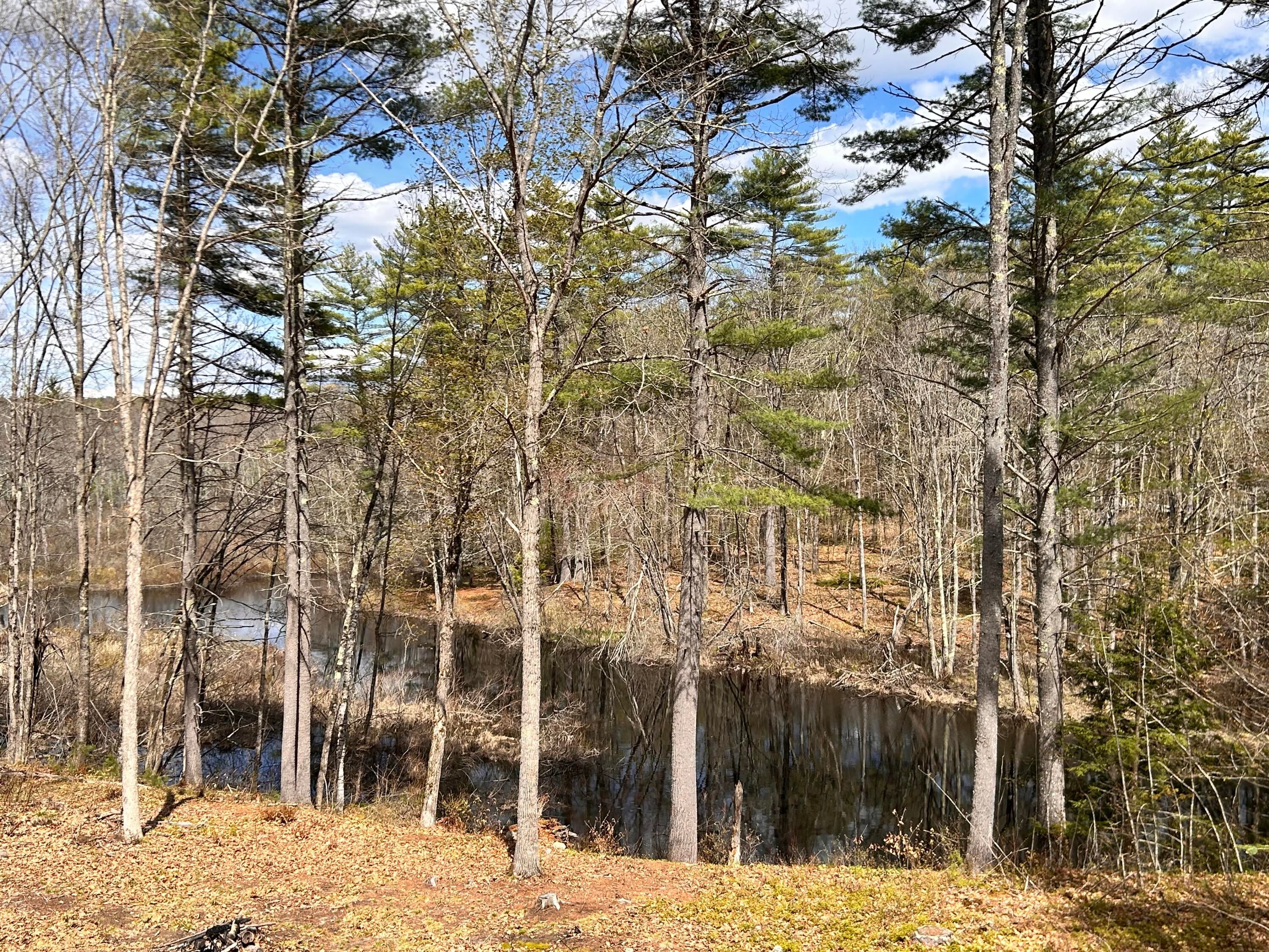 54 Raptor Ridge Road, Limerick, ME 04048 — photo 3