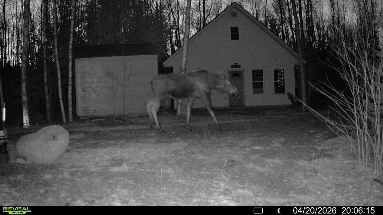 Off Route 192, Wesley, ME 04686 — photo 2