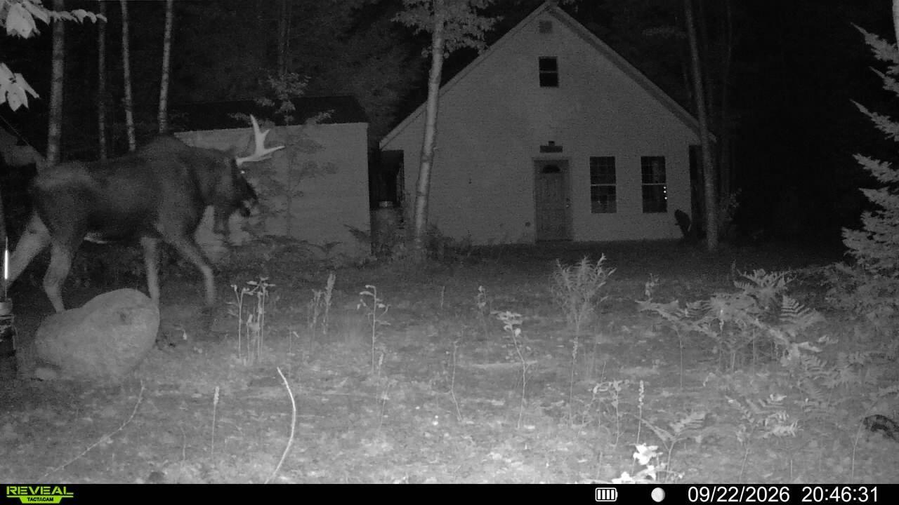 Off Route 192, Wesley, ME 04686 — photo 3