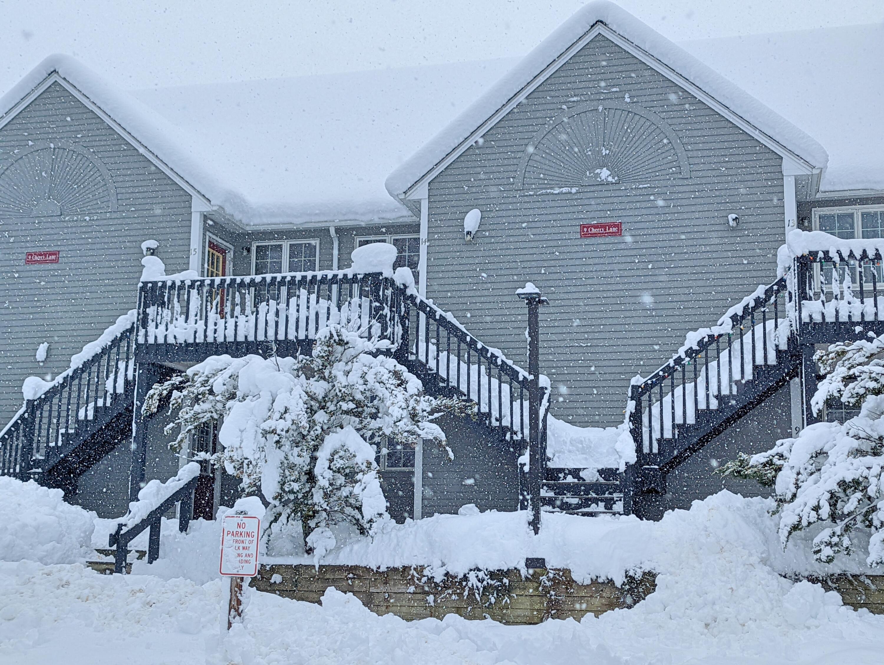 9 Cherry Lane 10 — photo