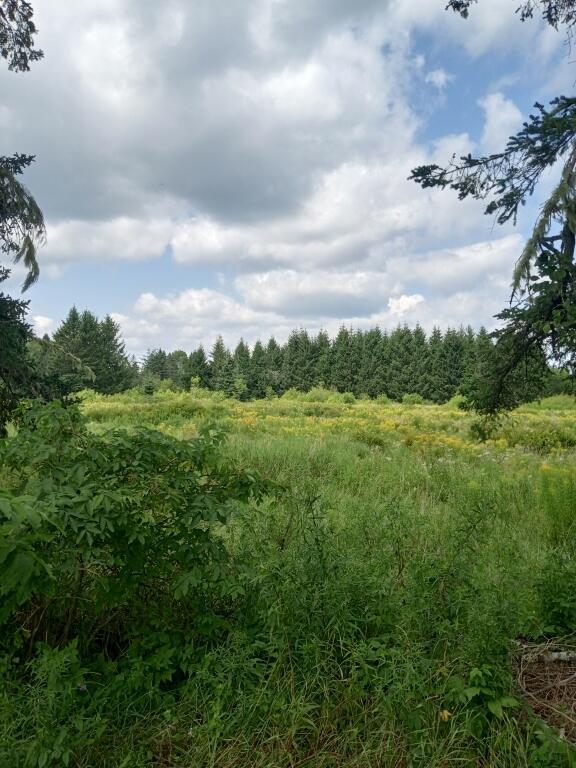 855 County Road, Lubec, ME 04652 — photo 3