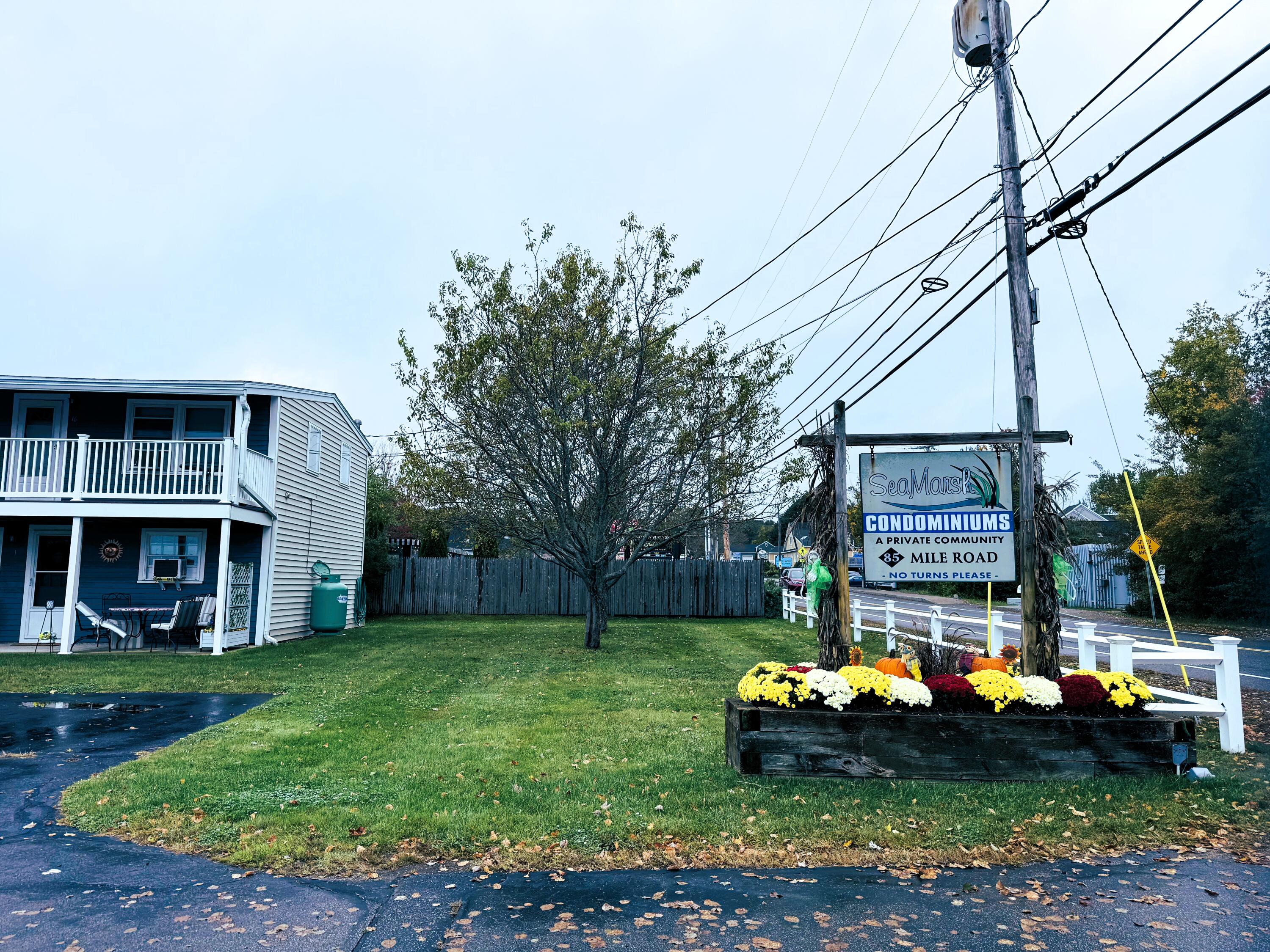85 Mile Road 16 — photo