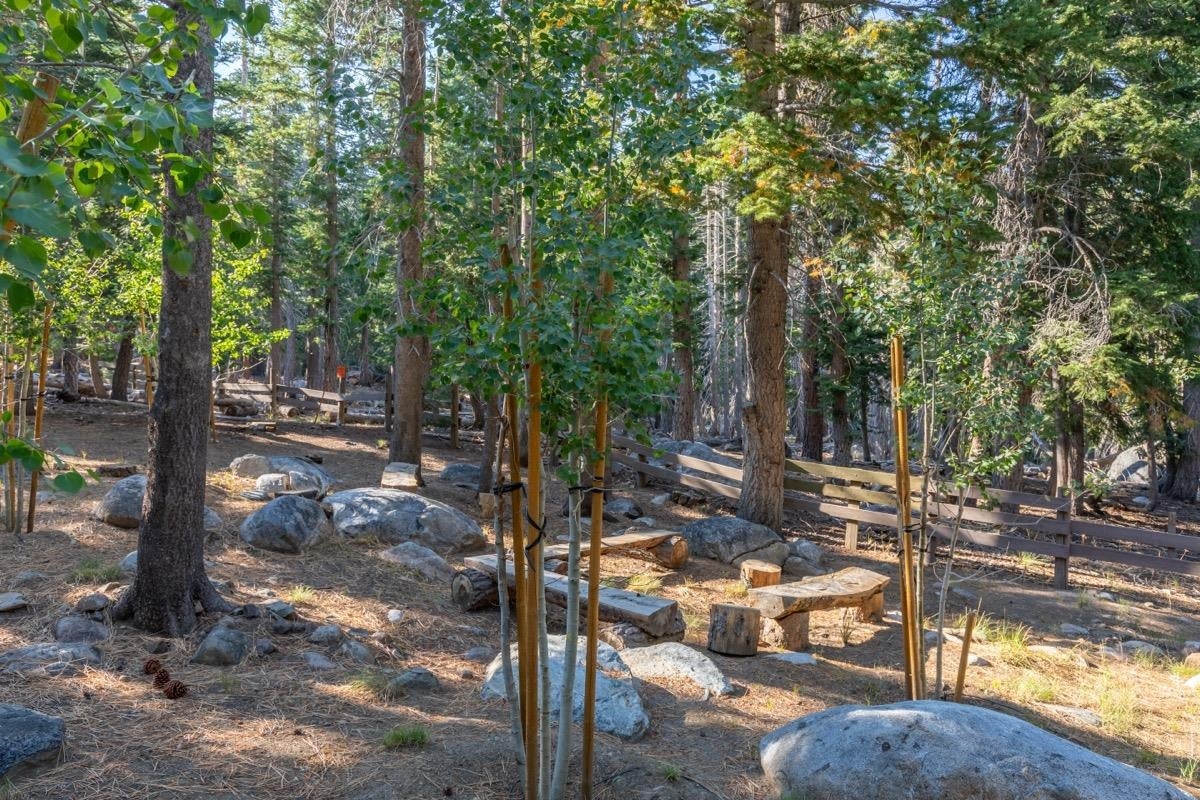 2500 Old Mammoth Road — photo