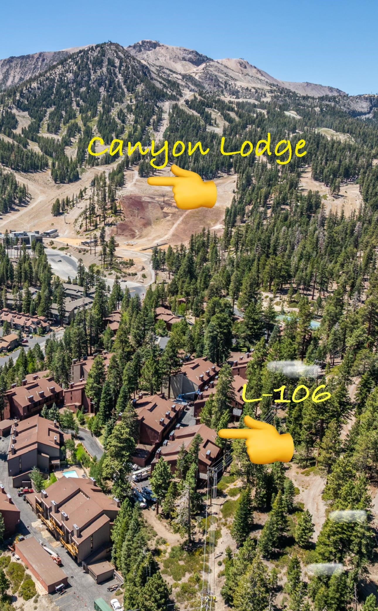 248 Mammoth Slopes Drive #L-106 106 — photo