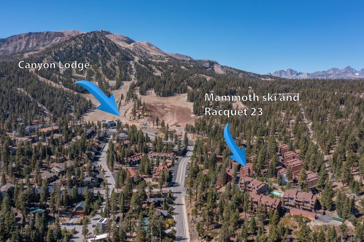 248 Mammoth Slopes Dr #23 23 — photo