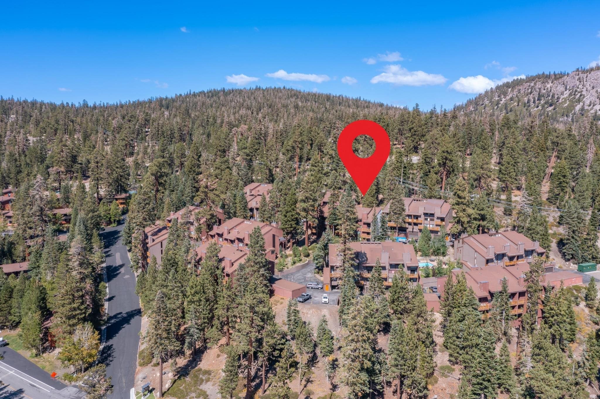 248 Mammoth Slopes Drive #115 115 — photo