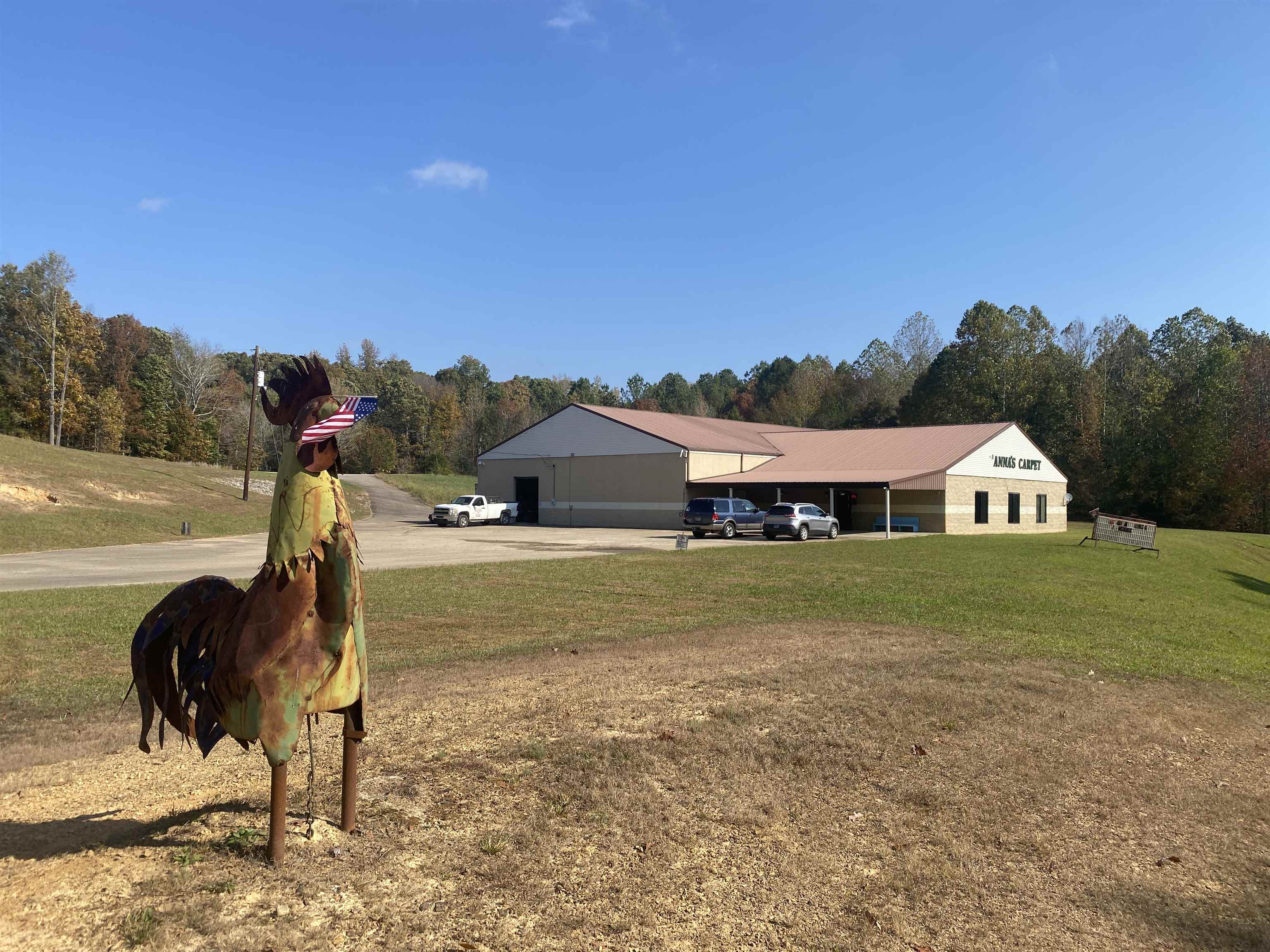 795 Center Point Rd, Reagan, TN 38362 — photo 2