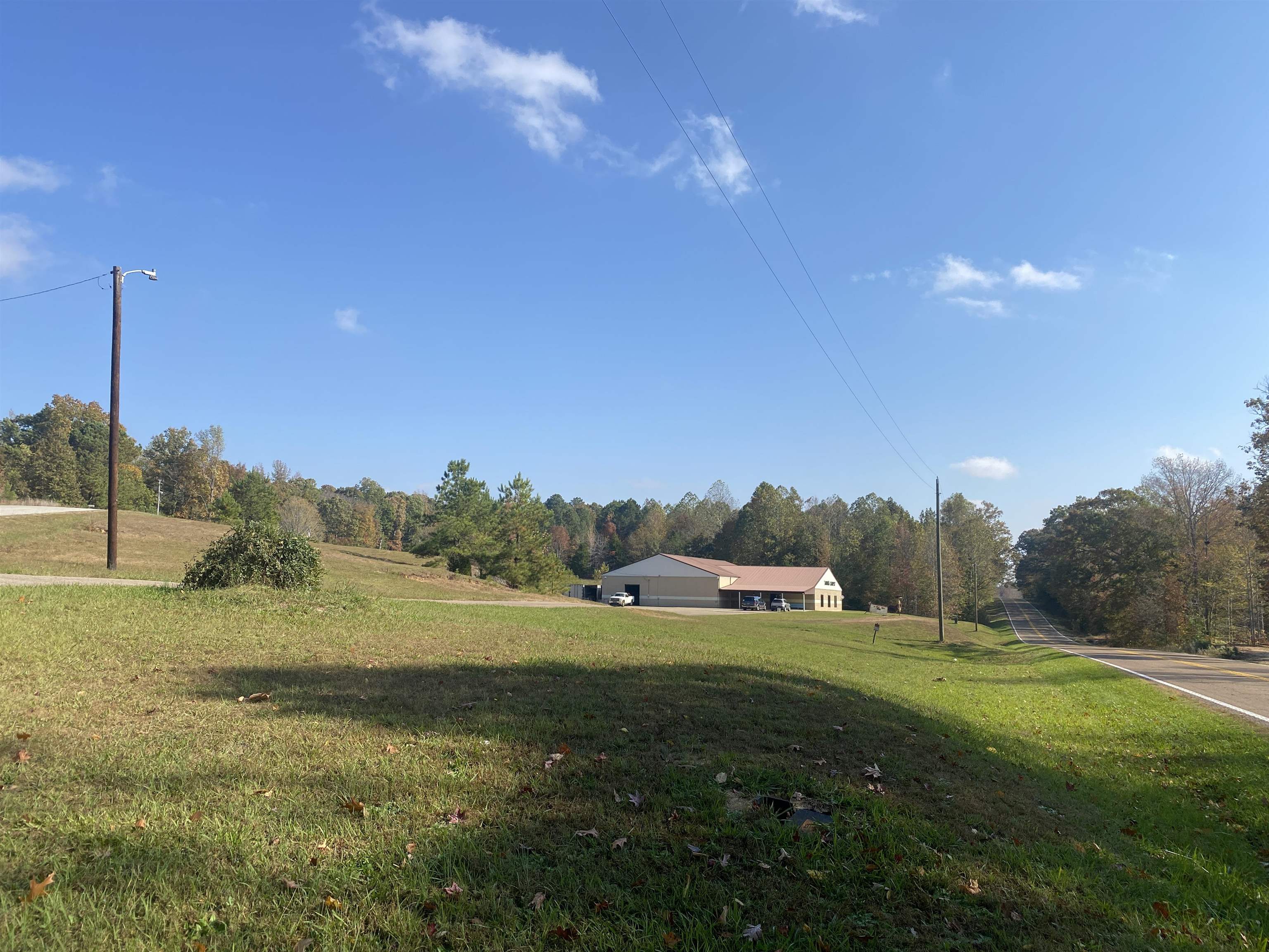 795 Center Point Rd, Reagan, TN 38362 — photo 3