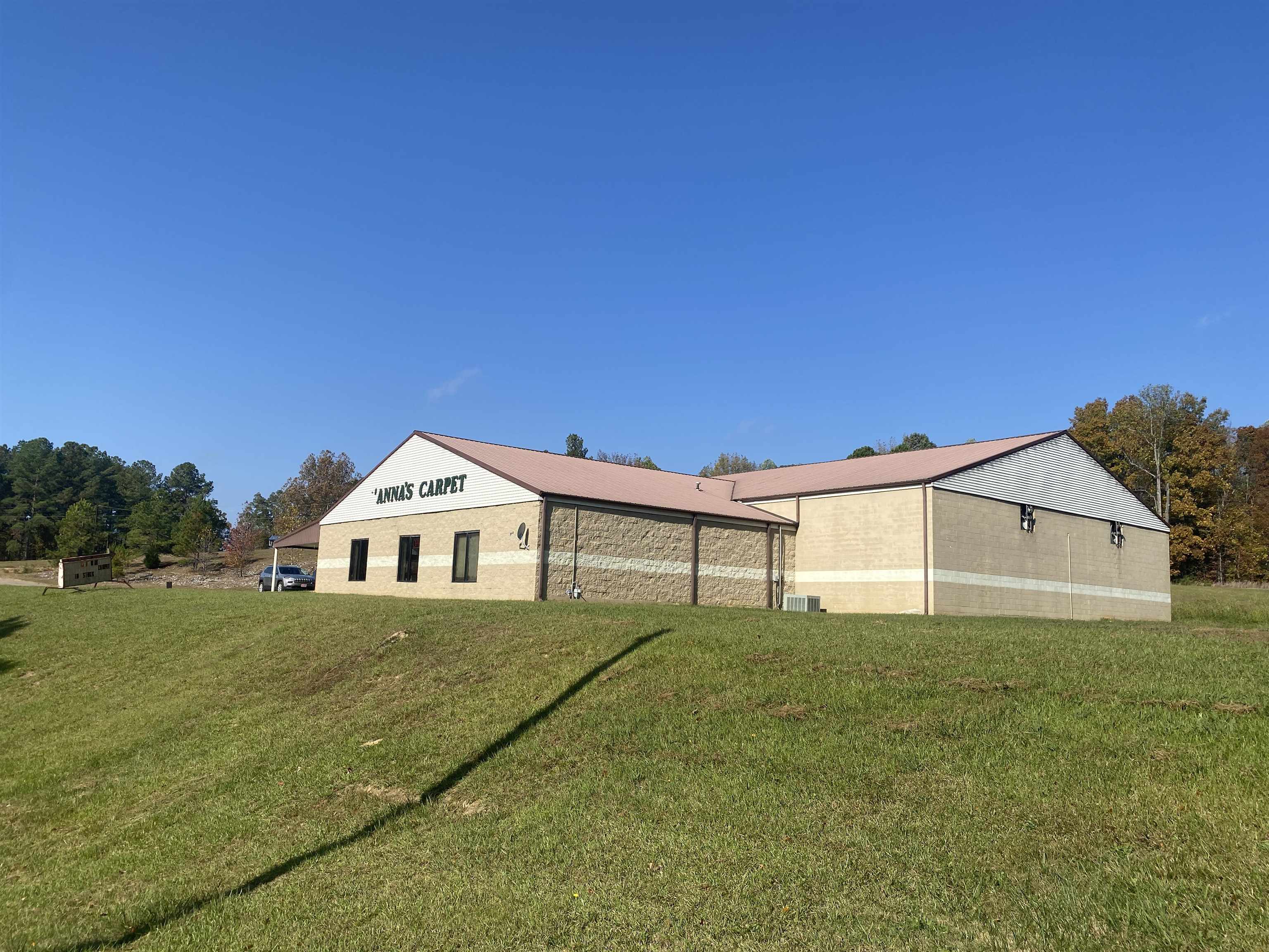 795 Center Point Rd, Reagan, TN 38368 — photo 3