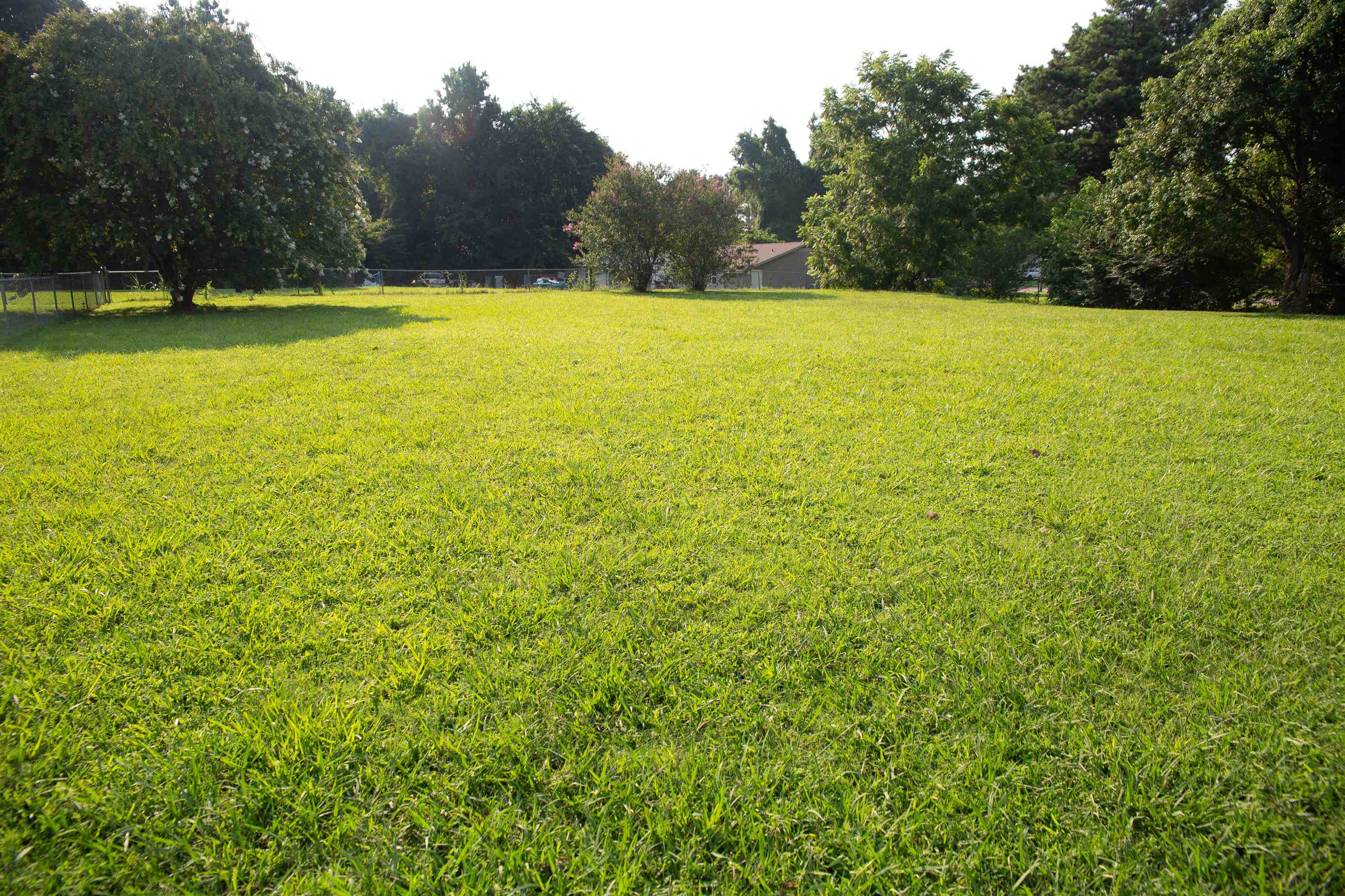 597 Walton Loop, Covington, TN 38019 — photo 2