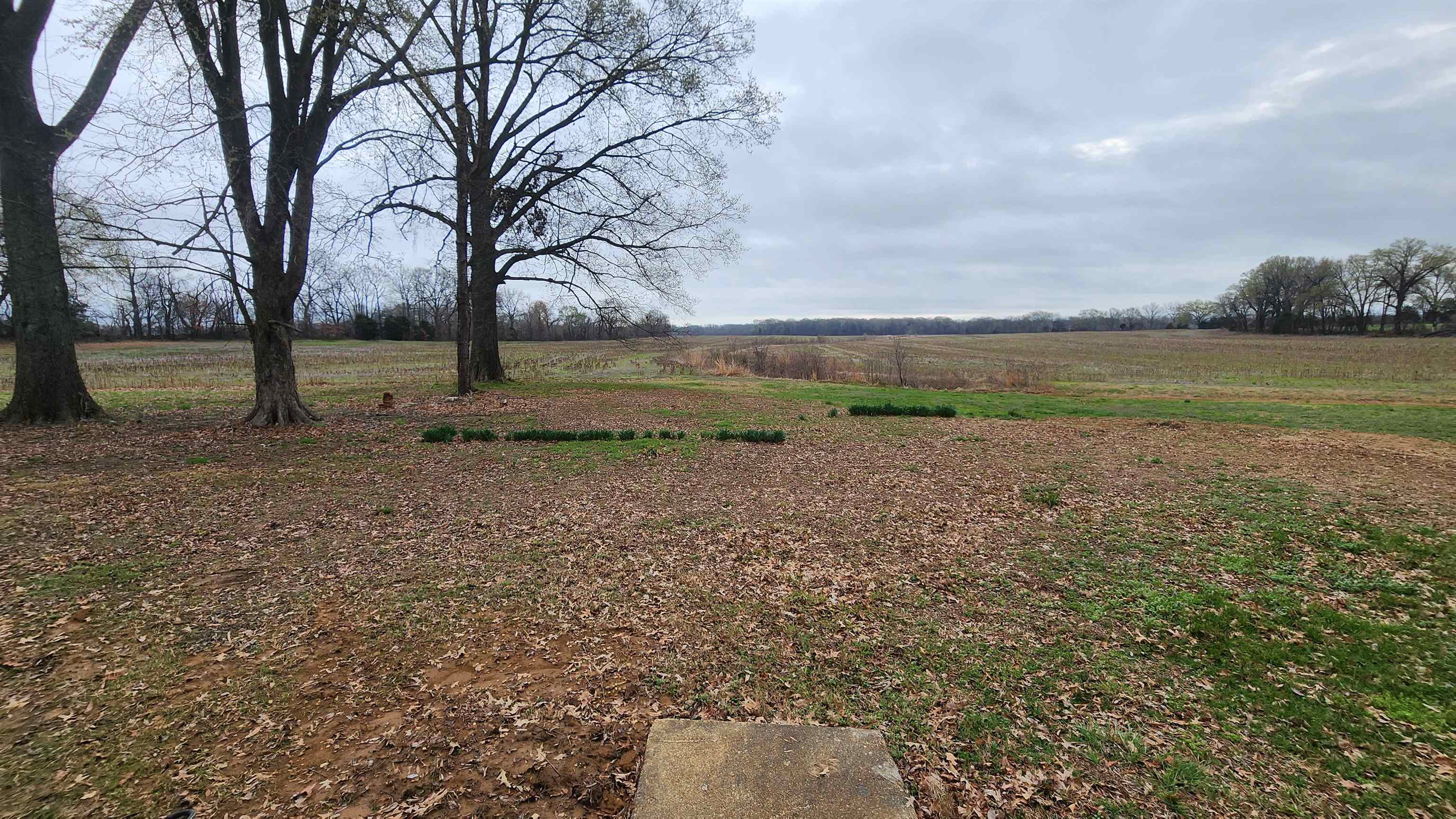 5200 Durhamville Rd, Ripley, TN 38063 — photo 2