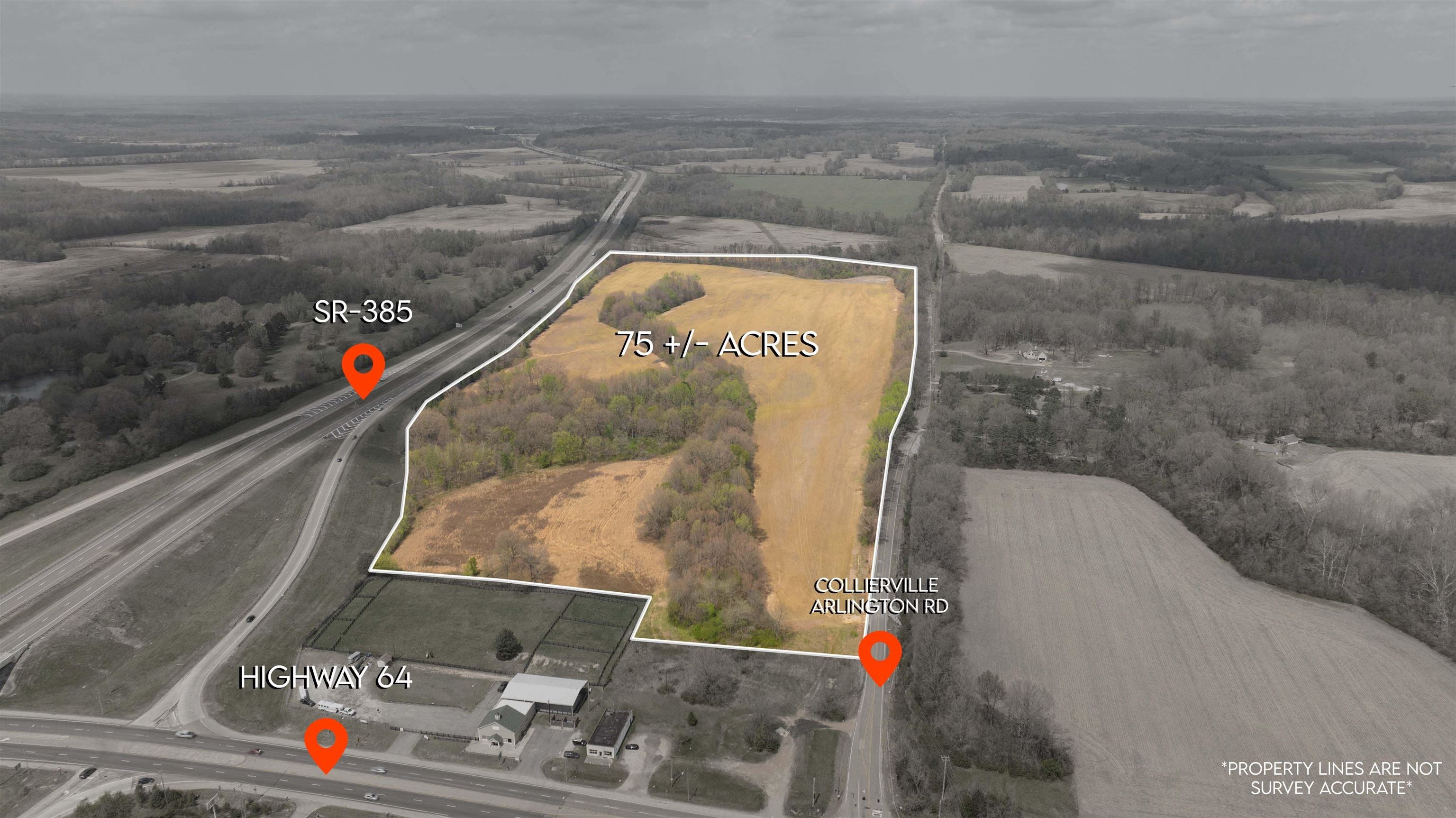 3131 US 64 Hwy — photo