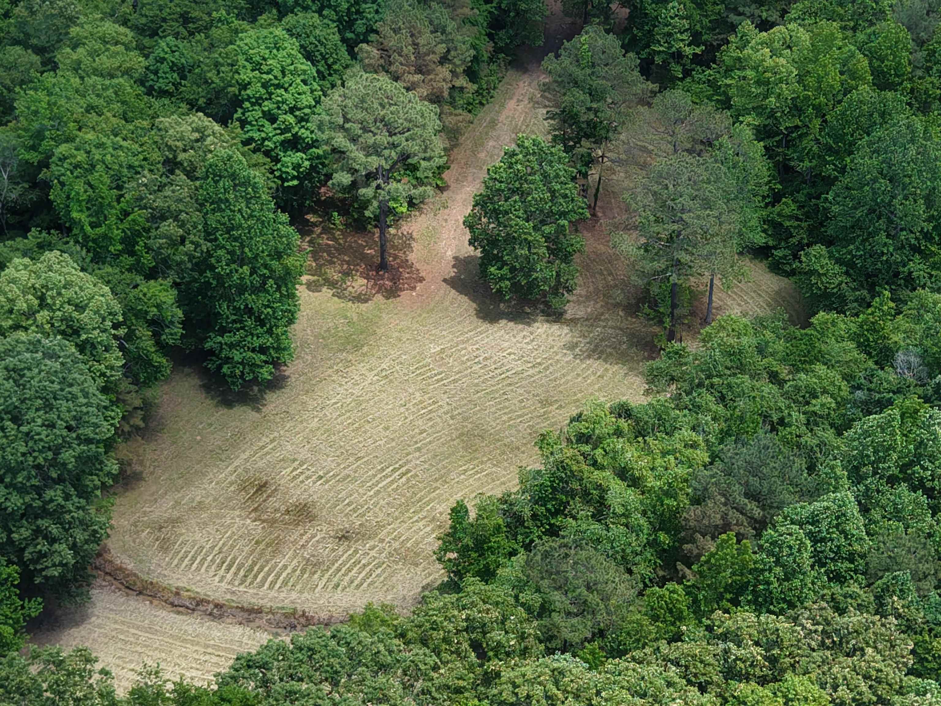 3360 Ebenezer Rd, Toone, TN 38381 — photo 3