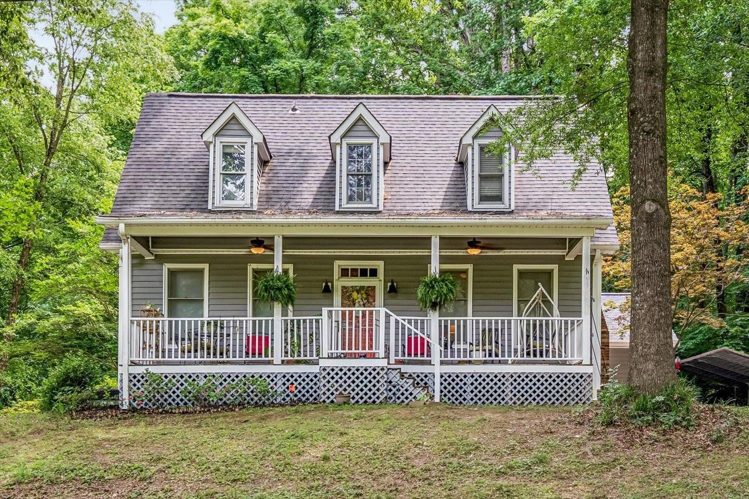 29 Claire CV — photo