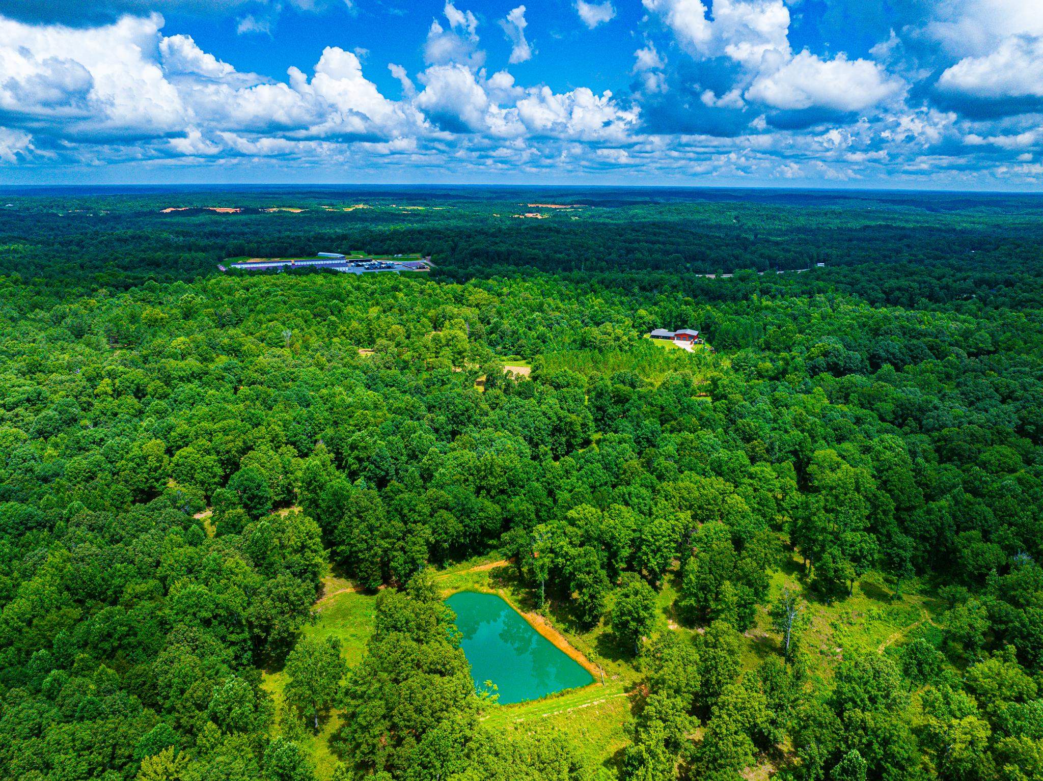 350 Hamilton Rd, Springville, TN 38256 — photo 2