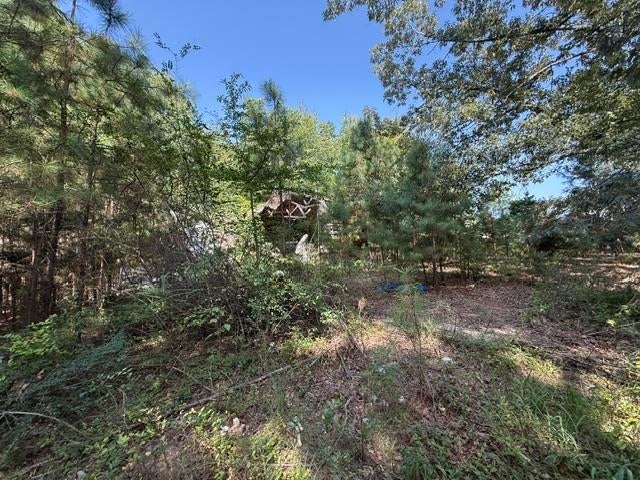 6555 Rabbit Creek Rd — photo