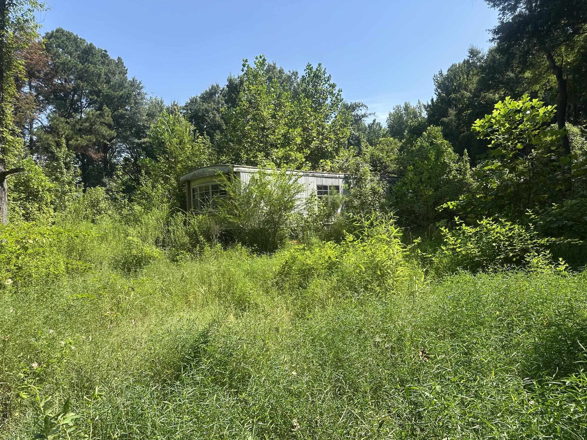 7700 Pleasant Ridge Rd, Arlington, TN 38002 — photo 3