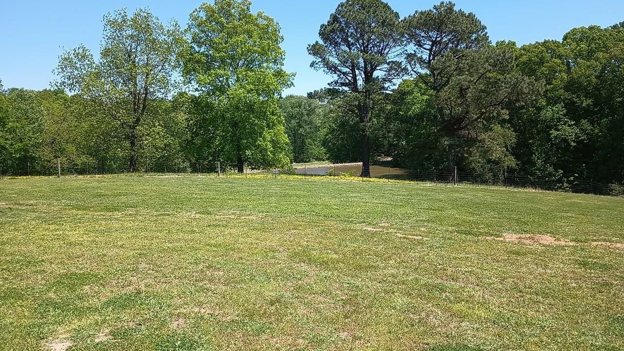 2158 Barlow Rd, Ripley, TN 38063 — photo 3