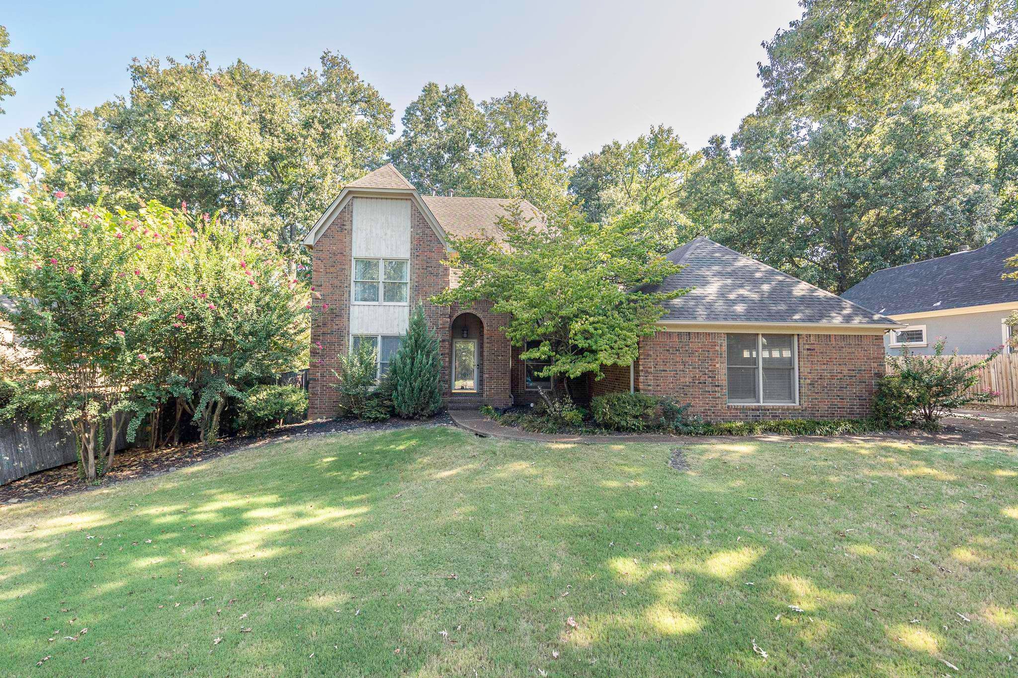 1618 Autumn Tree CV — photo