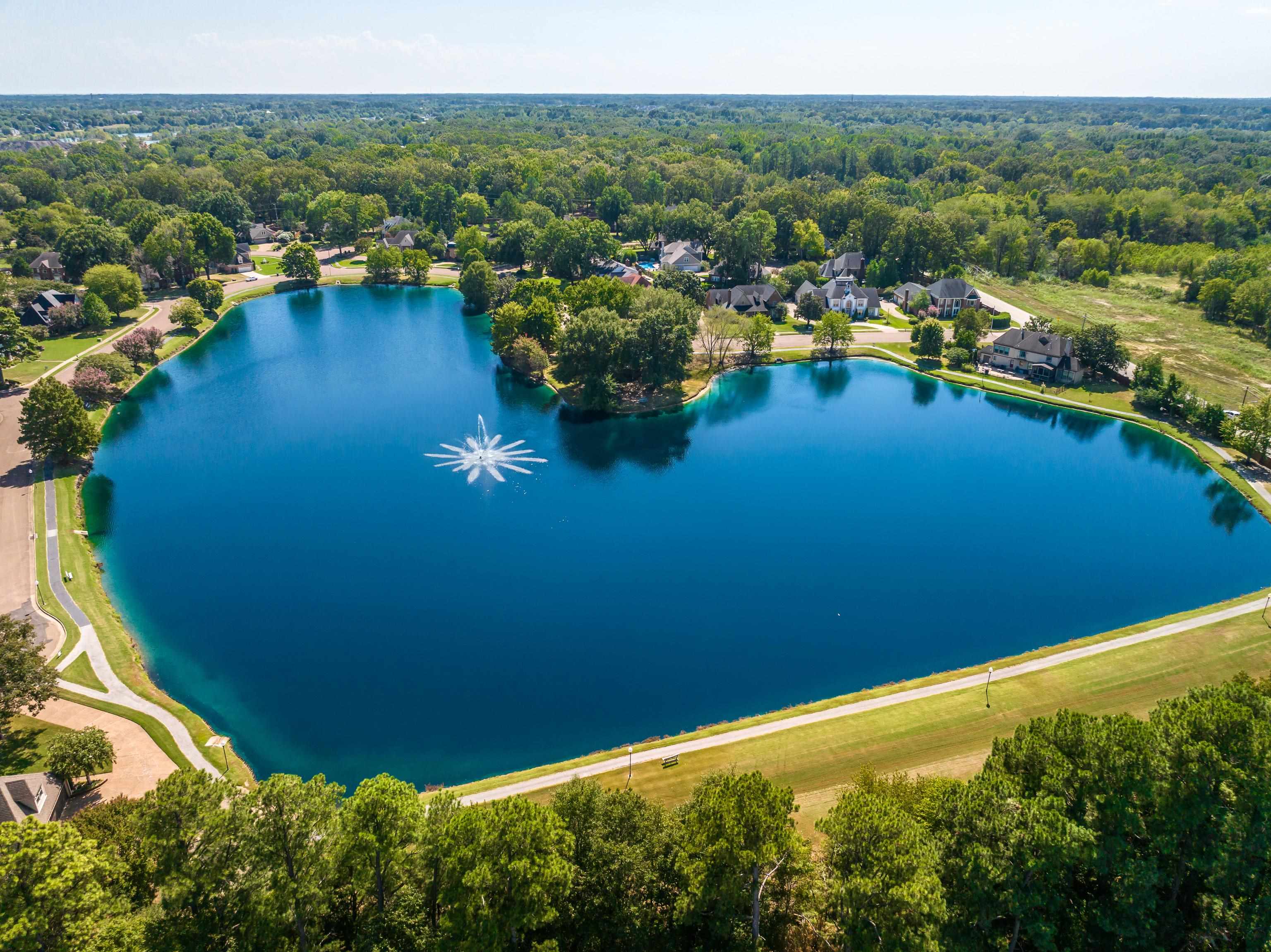 1196 E Lake Pointe Dr — photo