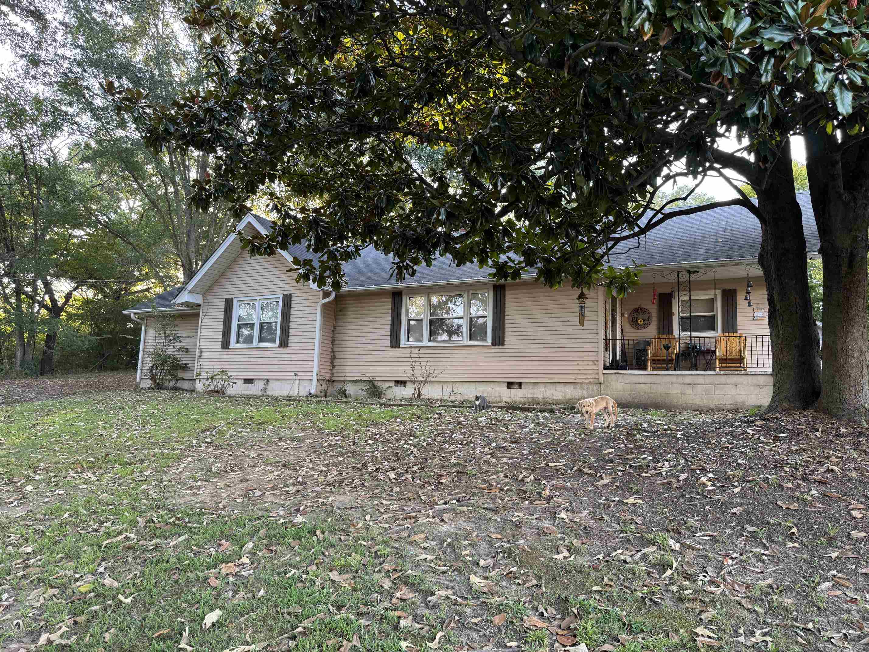 45 Vernon Aly — photo