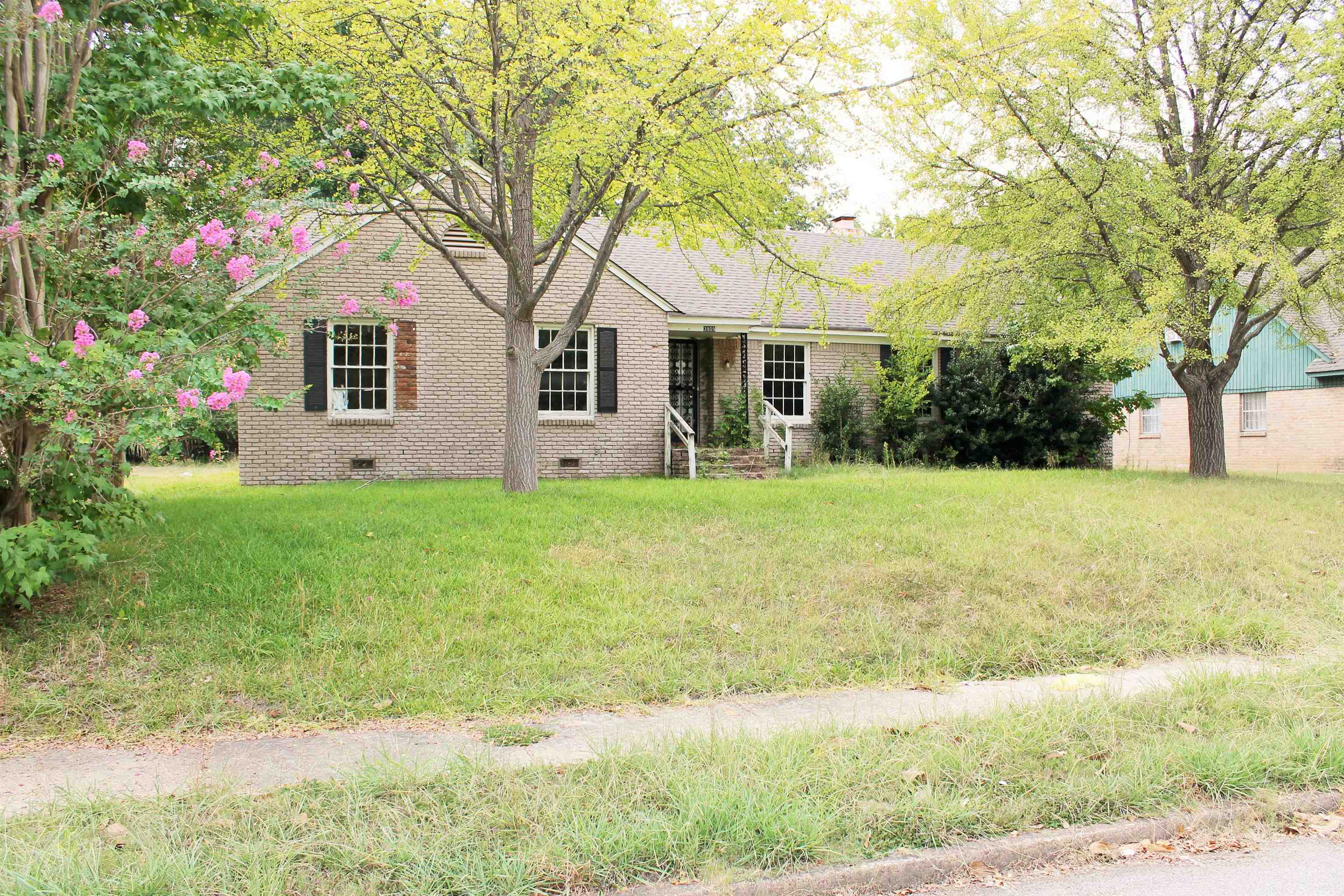 3909 Birchleaf Rd, Memphis, TN 38116 — photo 2