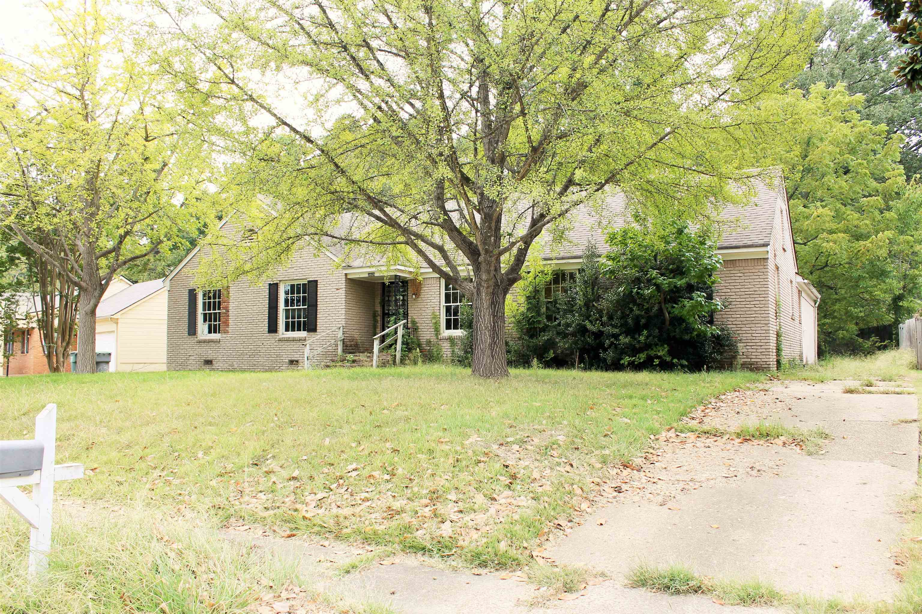 3909 Birchleaf Rd, Memphis, TN 38116 — photo 3