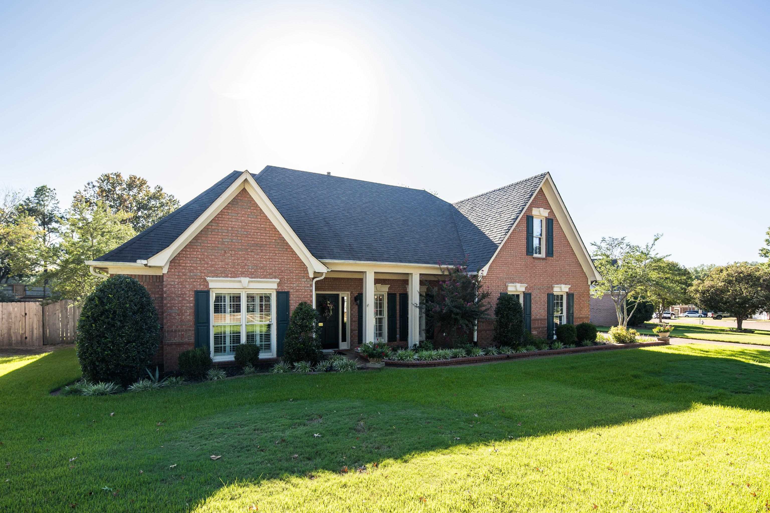 585 Enjelica CV — photo