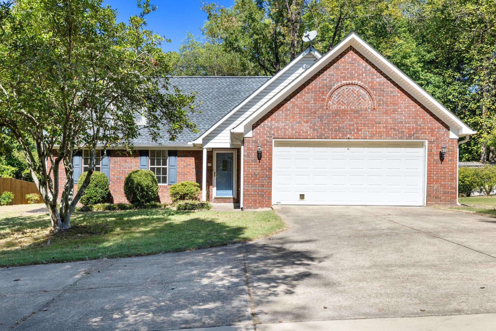 84 Roseann CV — photo