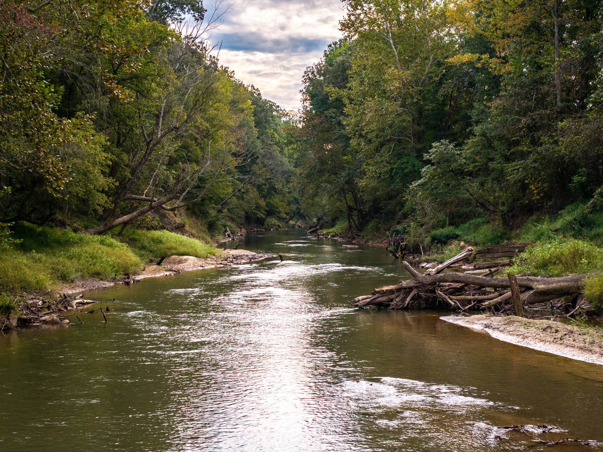 280 Fields Rd, Dukedom, TN 38226 — photo 3