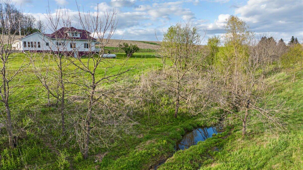 E8527 Nelson Rd, Kickapoo, WI 54652 — photo 3