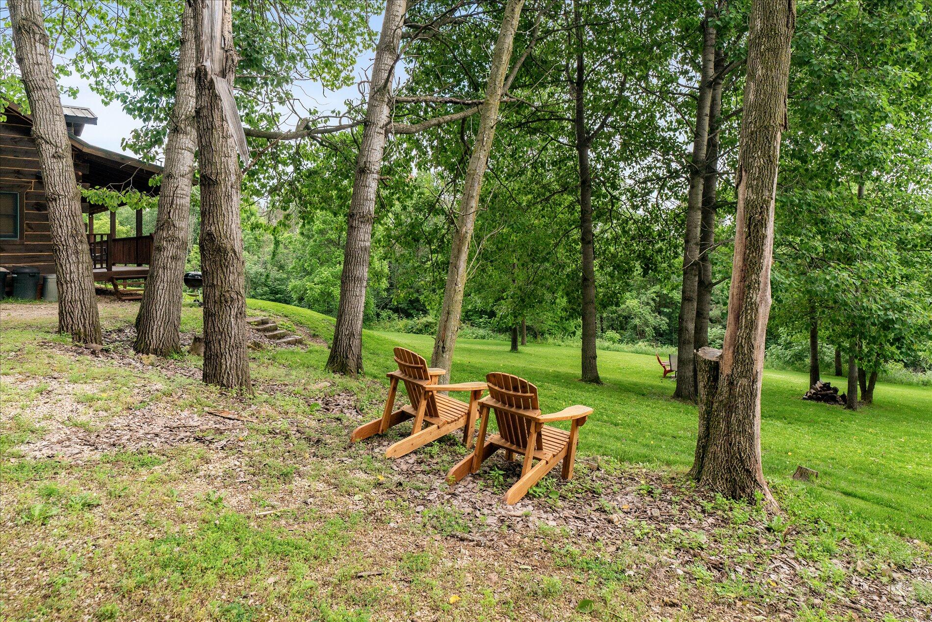 E7757 Rognstad Ridge Rd, Christiana, WI 54619 — photo 3