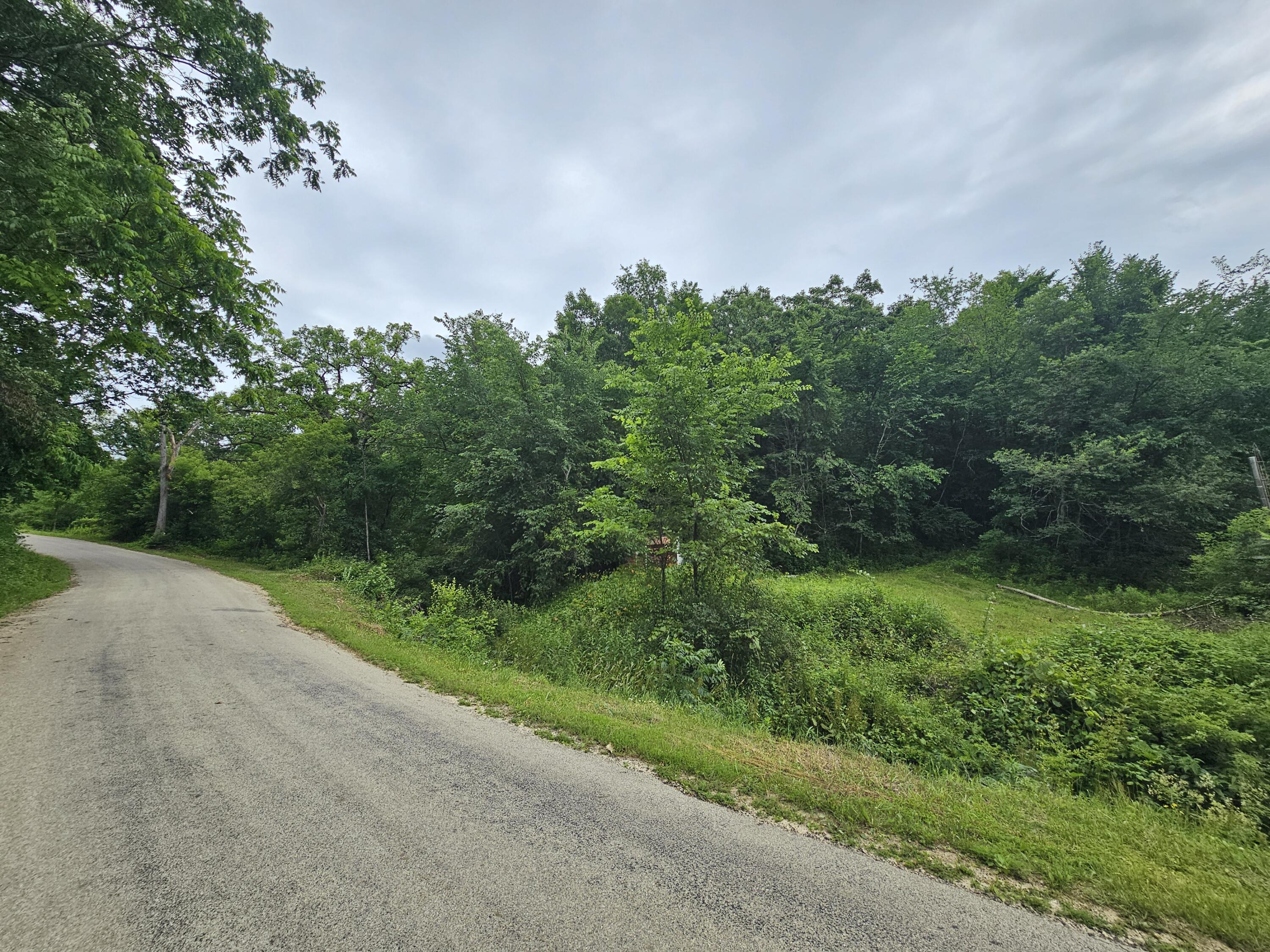 E8706 County Rd M -, Kickapoo, WI 54652 — photo 3