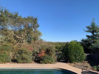 1242 River Bluff Dr — photo