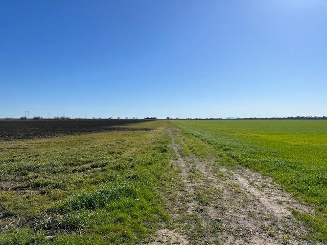 County Road 30, Davis, CA 95618 — photo 2