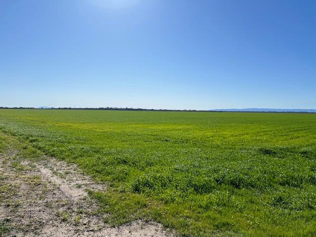 County Road 30, Davis, CA 95618 — photo 3