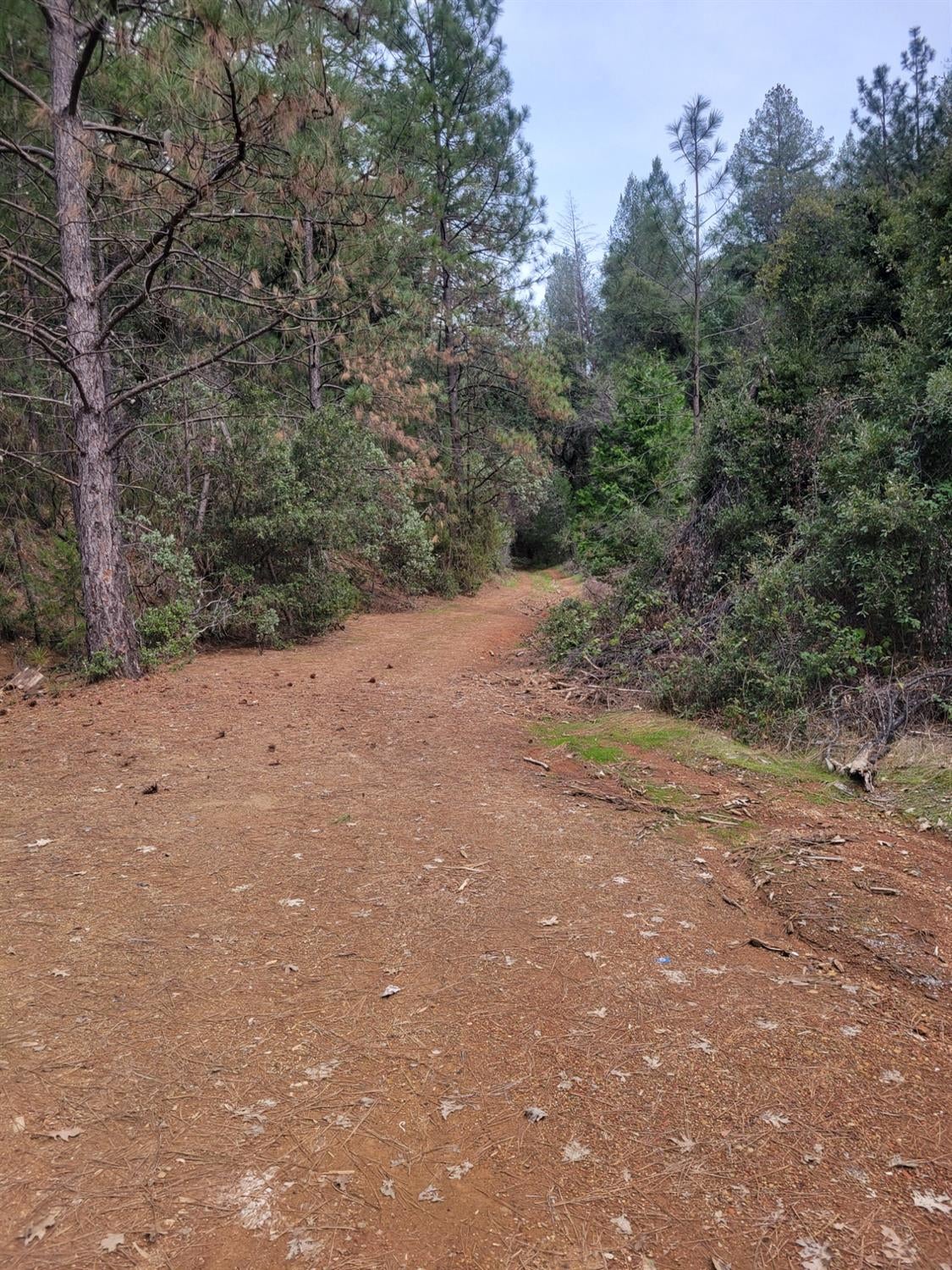 7 Canyon Way — photo
