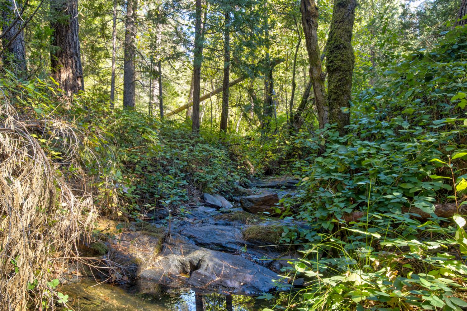26672 Old Loggers Lane — photo