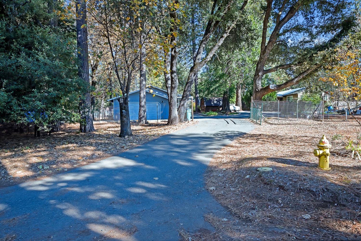 19475 Murphy Road, Pine Grove, CA 95665 — photo 2