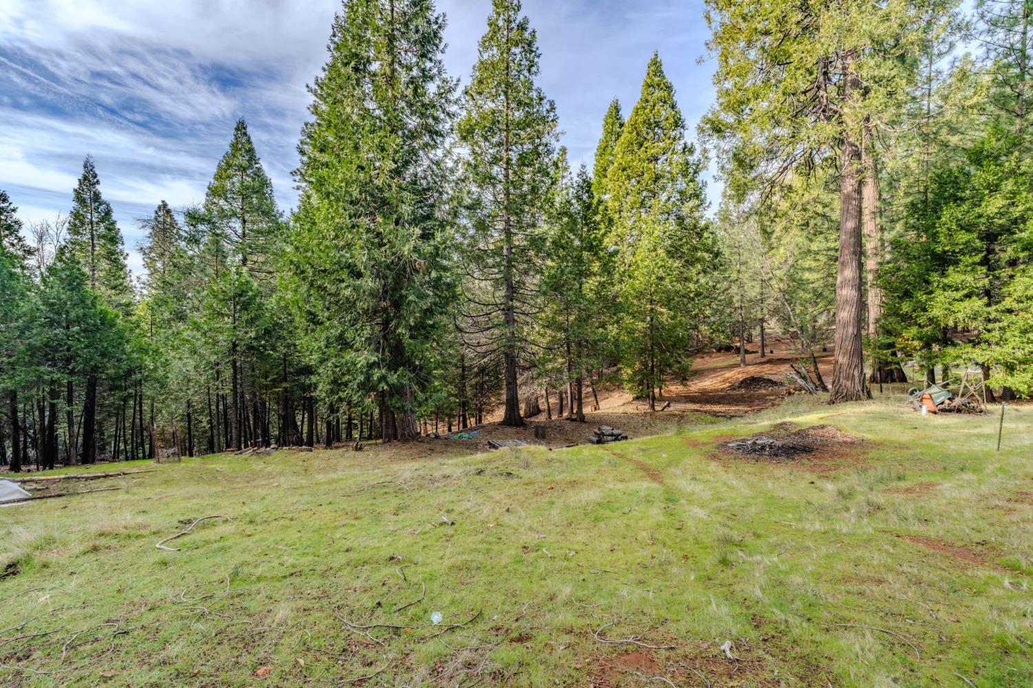 25630 Overland Drive, Volcano, CA 95689 — photo 2