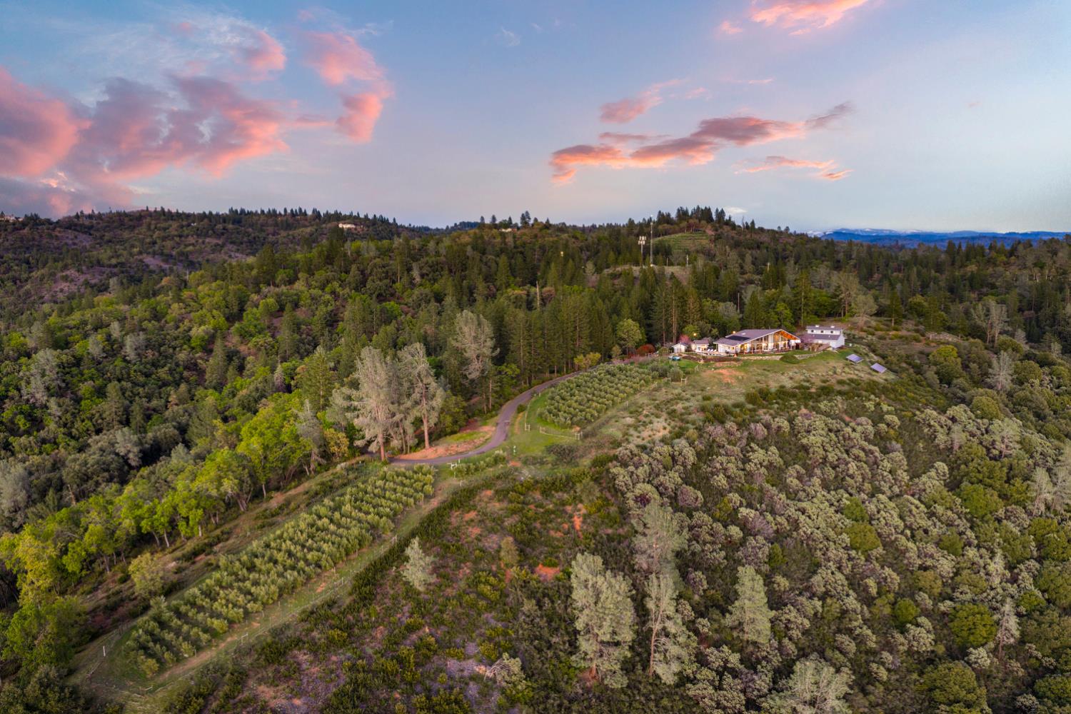 984 Crestview Drive, Murphys, CA 95247 — photo 2