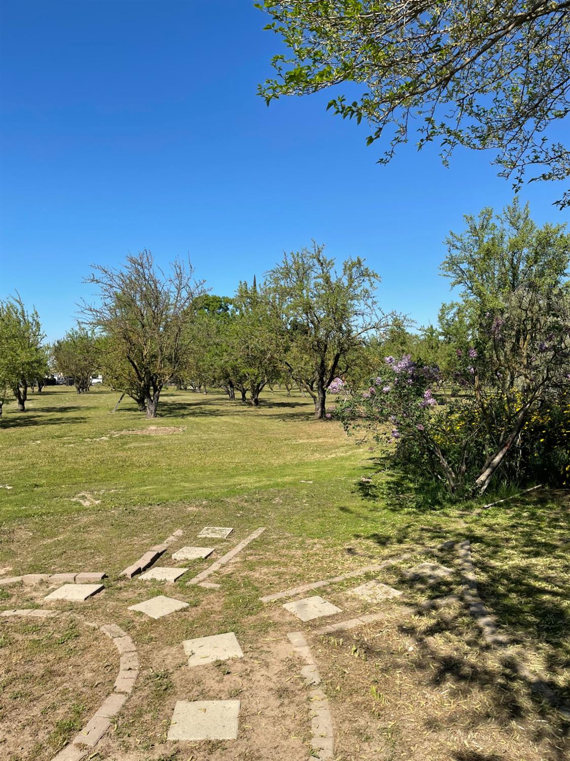 17576 E State Highway 120, Ripon, CA 95366 — photo 2