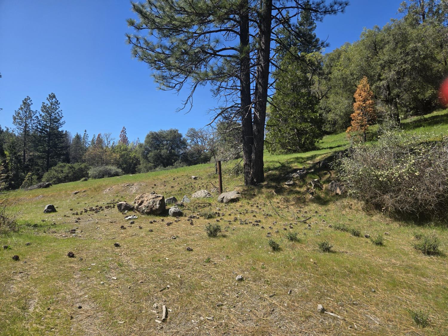 23724 Van de Hei Rd. — photo
