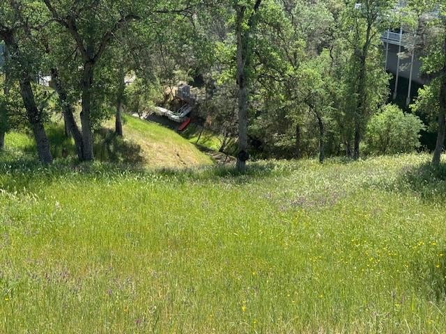 4319 Tomahawk Trail, Copperopolis, CA 95228 — photo 2