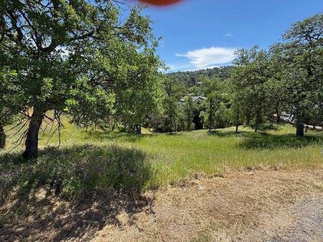 4319 Tomahawk Trail, Copperopolis, CA 95228 — photo 3