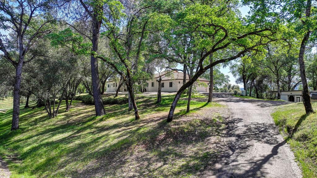 3716 Murphy Ranch Road, Placerville, CA 95667 — photo 3