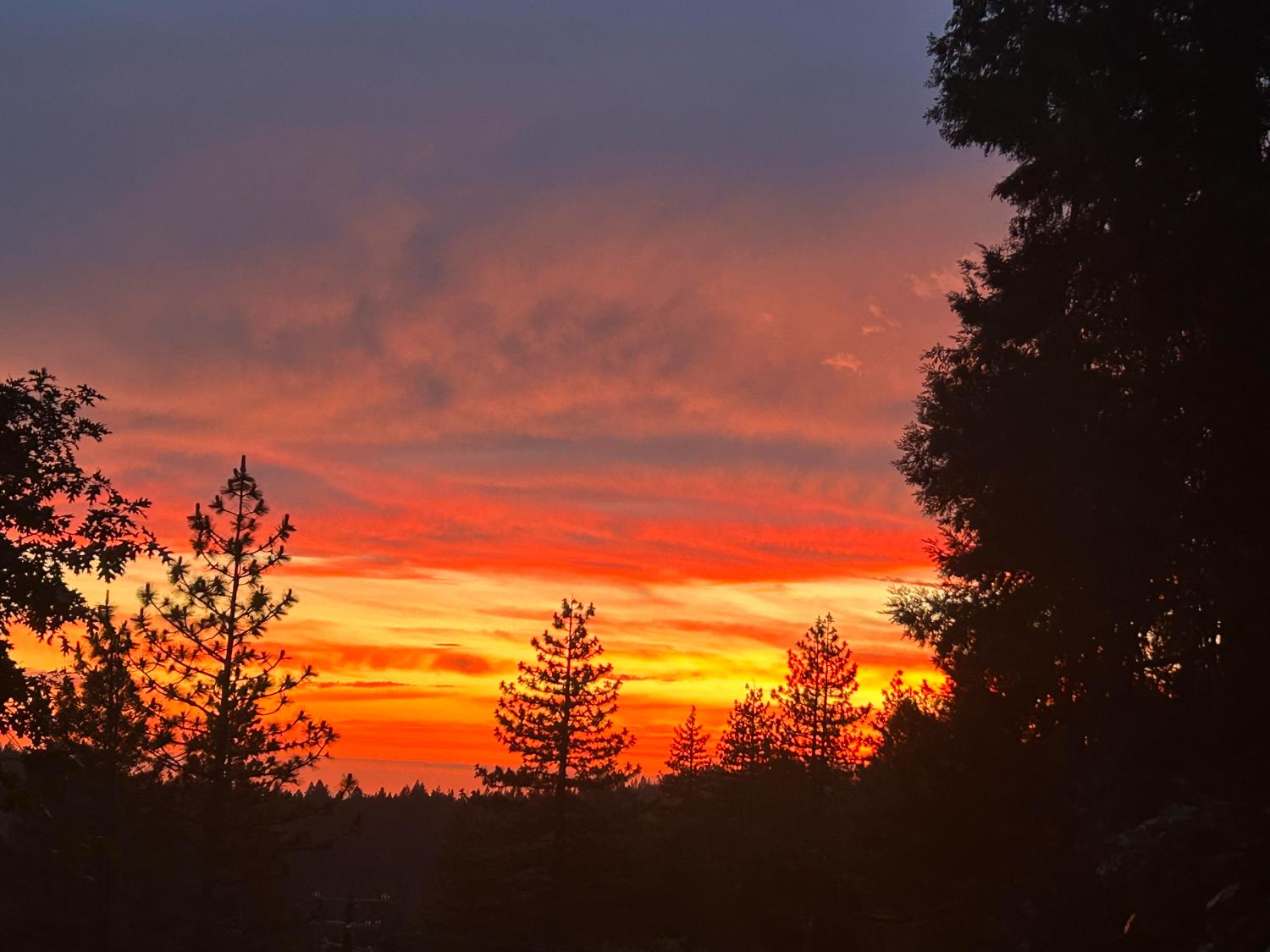 6830 Frontier Road, Pollock Pines, CA 95726 — photo 2