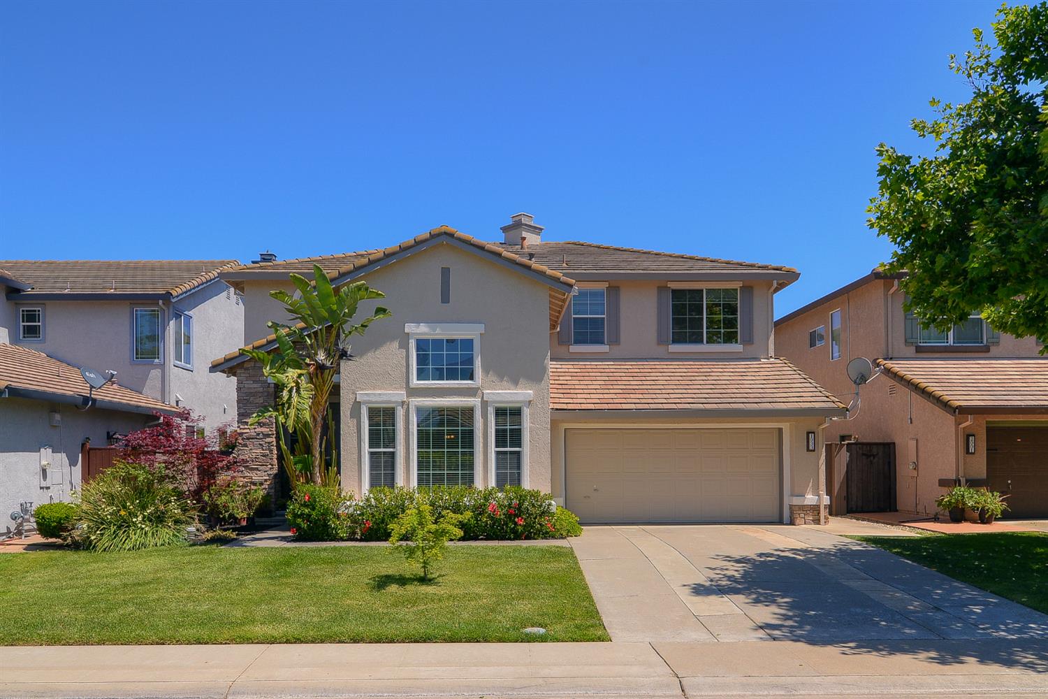 1933 Bastona — photo