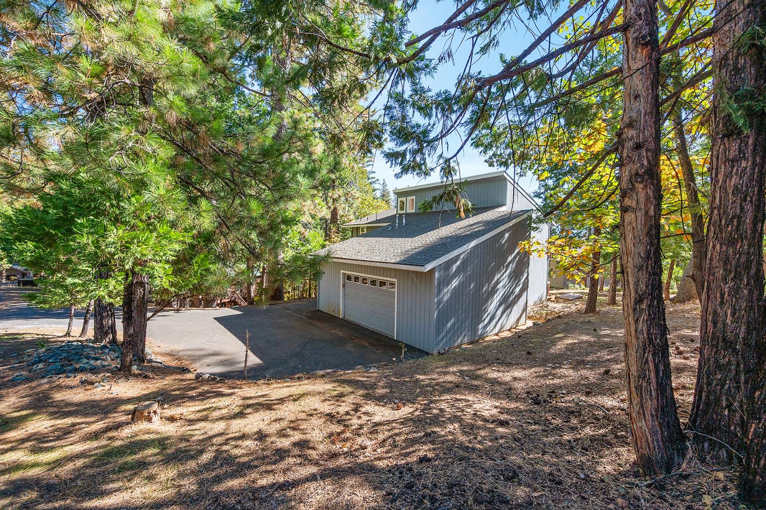 2081 Jerrilynn Drive, Arnold, CA 95223 — photo 3